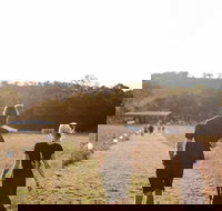 Arcadia - Redcliffe Tourism