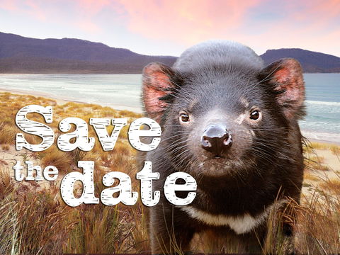 Art Group Longford - Redcliffe Tourism 0