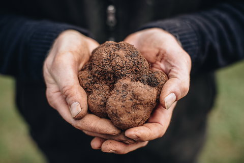 A Taste Of Truffles - Redcliffe Tourism 0