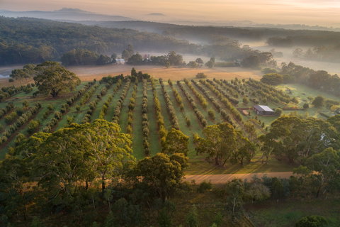 A Taste Of Truffles - Redcliffe Tourism 1