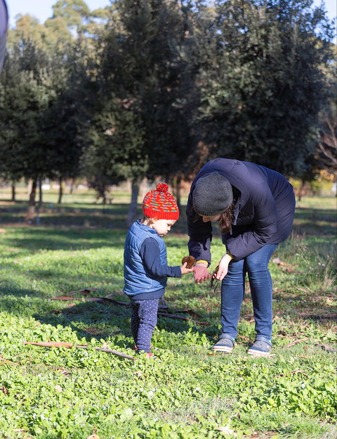 A Taste Of Truffles - Redcliffe Tourism 2