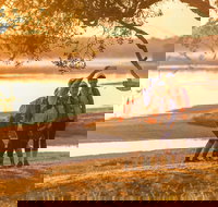 Brisbane Coastrek 2020 - Redcliffe Tourism