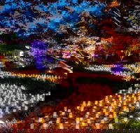 Canberra Nara Candle Festival - Redcliffe Tourism