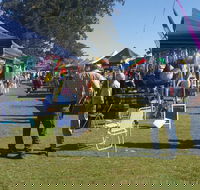 Casino Golf Club Markets - Redcliffe Tourism