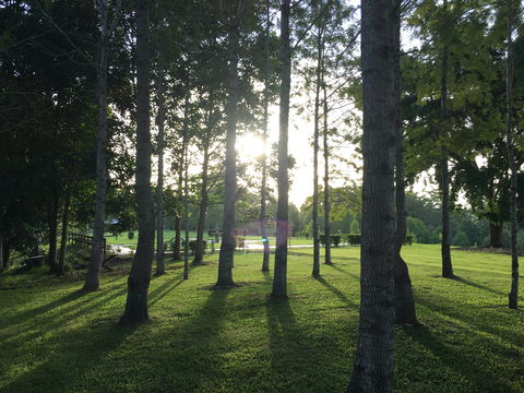 Celebration Outing Special - Redcliffe Tourism 0