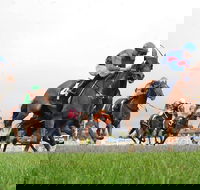 Christmas Cup Race Day - Redcliffe Tourism