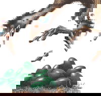 Edward the Emu - Redcliffe Tourism