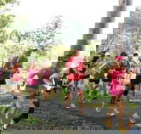 Gladstone Weekly Parkrun - Redcliffe Tourism