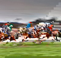 Grafton July Racing Carnival - Redcliffe Tourism