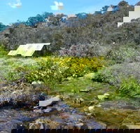 Hedonistic Hiking's Falls Creek to Hotham - Redcliffe Tourism