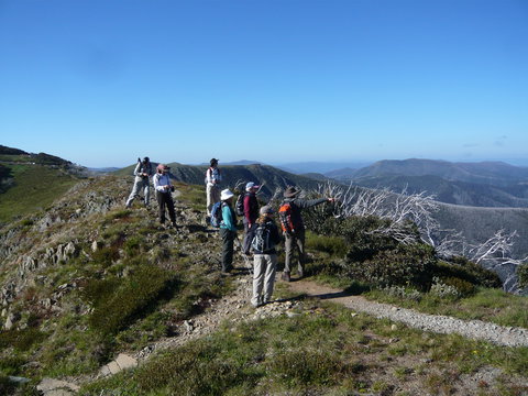 Hedonistic Hiking's Falls Creek To Hotham - Redcliffe Tourism 1