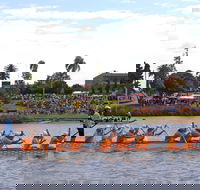 Jacaranda Dragon Boat Races - Redcliffe Tourism