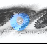 Joe Orton's What the Butler Saw - Redcliffe Tourism