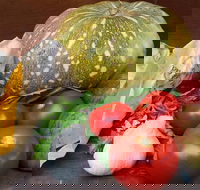 Lismore Organic Market - Redcliffe Tourism