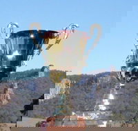 Nimbin Poetry World Cup - Redcliffe Tourism