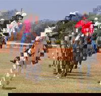 Pride of the West Races 2020 - Redcliffe Tourism