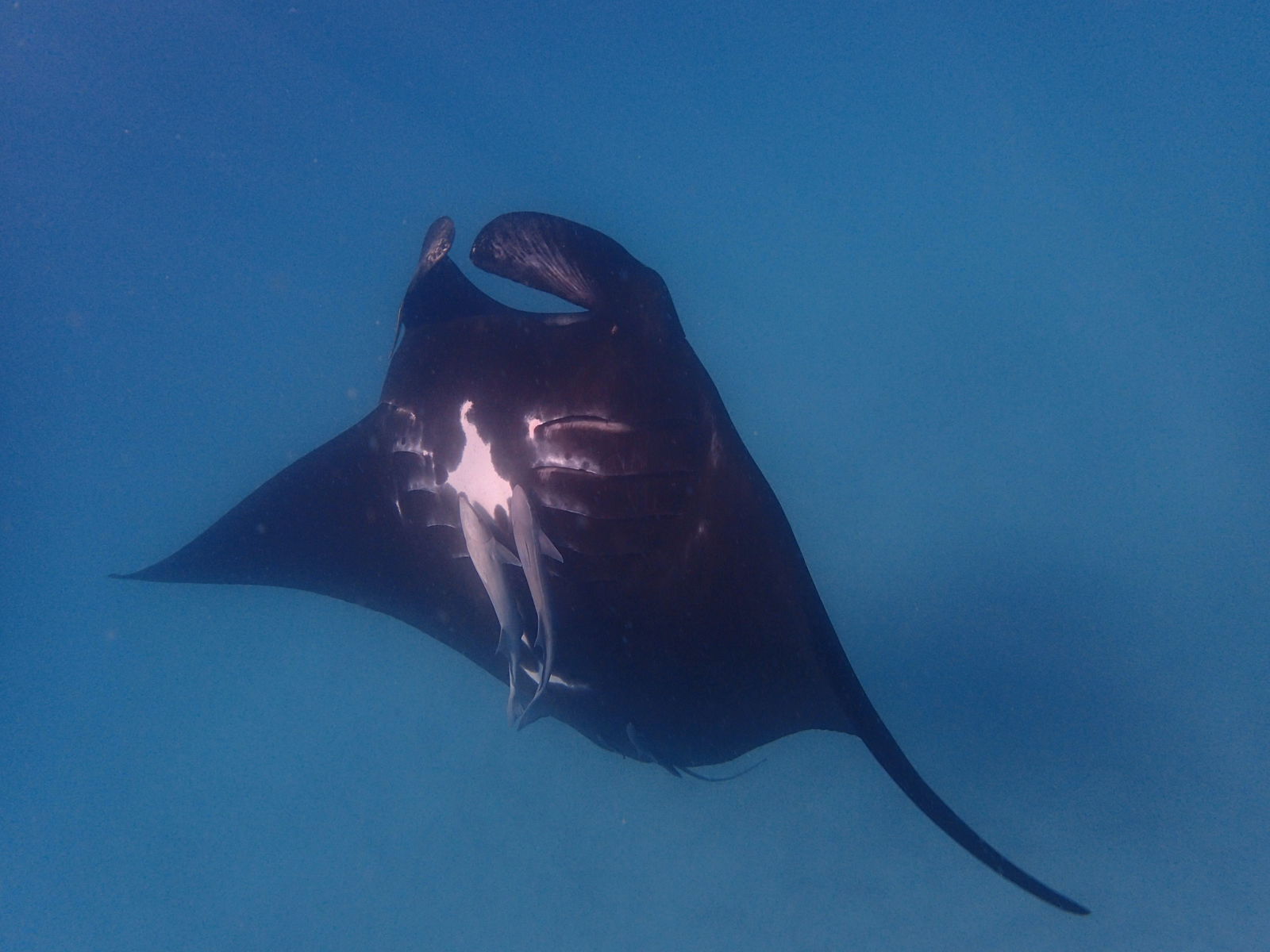 Carbla WA Redcliffe Tourism