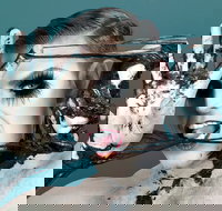 Reuben Kaye Comes Out to Play - Redcliffe Tourism