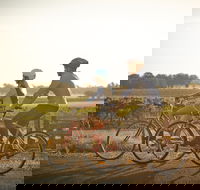 Rutherglen Gourmet Amble - Redcliffe Tourism