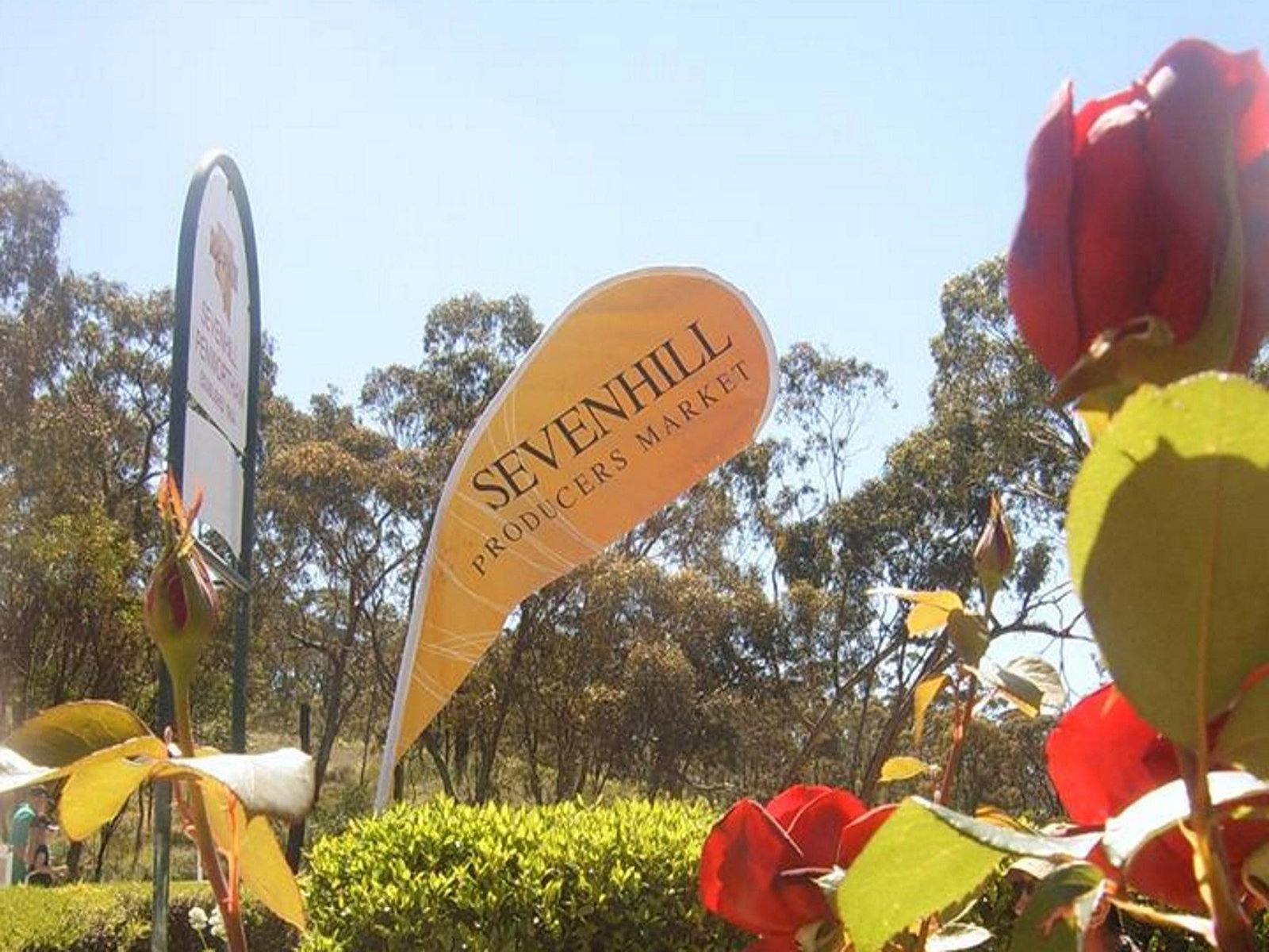 Sevenhill SA Redcliffe Tourism