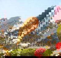 Sevenhill Producers Market - Redcliffe Tourism