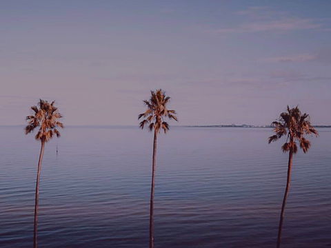 Sunset Streaming Live DJ Streams - Redcliffe Tourism 0