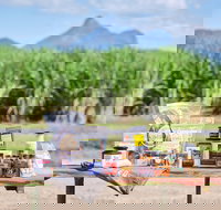 Taste Tweed - Redcliffe Tourism