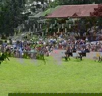 Tumut Derby Day - Redcliffe Tourism