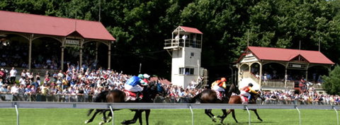 Tumut Derby Day - Redcliffe Tourism 1