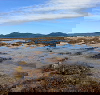 Walk to the Reef - Redcliffe Tourism