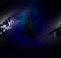 Wallflowering - Redcliffe Tourism