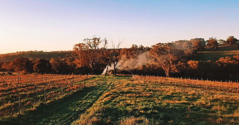 Cargo Road Wines Grande Fiamma - Redcliffe Tourism 0