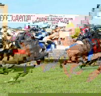 Casino Cup - Redcliffe Tourism