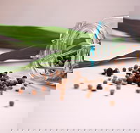 Cooking with Australian Indigenous Spices cooking class - Redcliffe Tourism