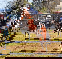 Glen Innes Pastoral and Agricultural Show - Redcliffe Tourism