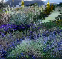 Highfield Gardens - Redcliffe Tourism