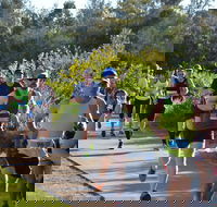 Husky Half Running Festival - Redcliffe Tourism