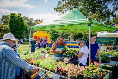 Huskisson Market - Redcliffe Tourism 0