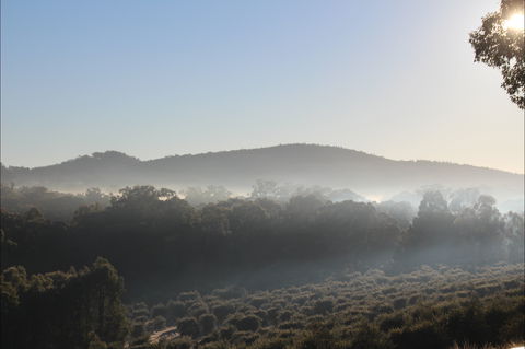 Mudgeeque - Redcliffe Tourism 0