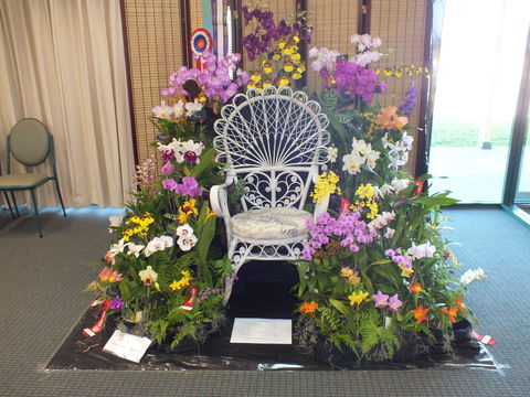 Orchids Out West - Redcliffe Tourism 0