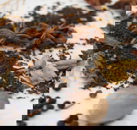 Red Hot Chilli Pepper Spice Blending Class - Redcliffe Tourism