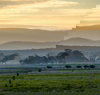 Rotary Club of Maffra Community Market - Redcliffe Tourism