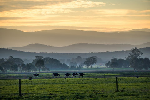 Rotary Club Of Maffra Community Market - Redcliffe Tourism 0
