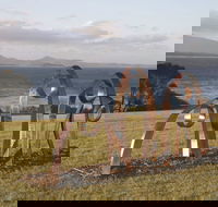 Sculpture Bermagui - Redcliffe Tourism