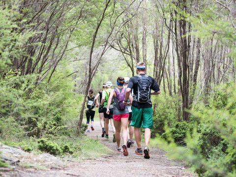 Summit Shoalhaven - Redcliffe Tourism 1