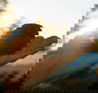 The Truffle Festival - Canberra Region - Redcliffe Tourism