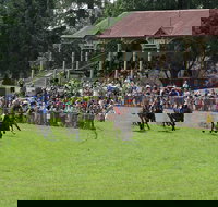 Tumut Boxing Day Races - Redcliffe Tourism