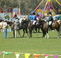 Wangaratta Show - Redcliffe Tourism