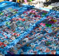 Wyee Markets - Redcliffe Tourism