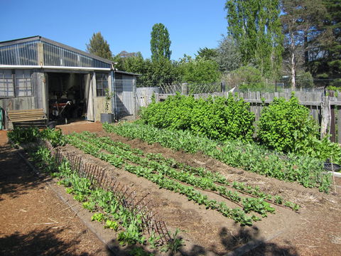 All Season Cold Climate Organic Vegetable Growing - Redcliffe Tourism 1